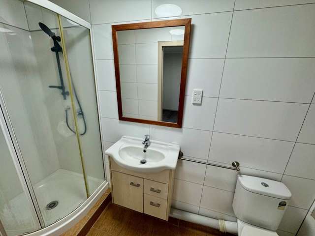 316A Hillsborough Road Hillsborough_4