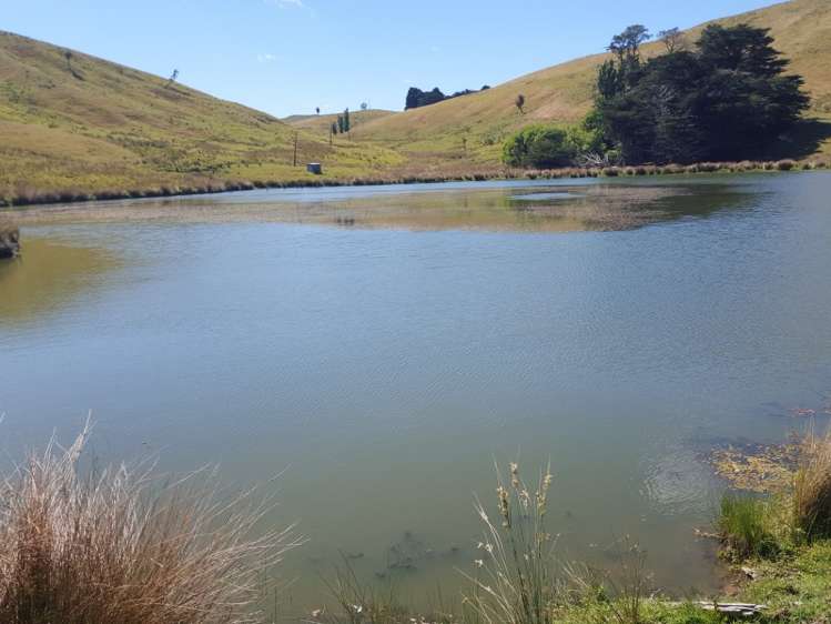 602 Esdaile Road Pongaroa_8