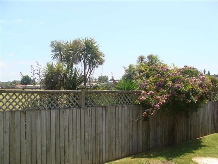 58b Carlton Street Bellevue_15