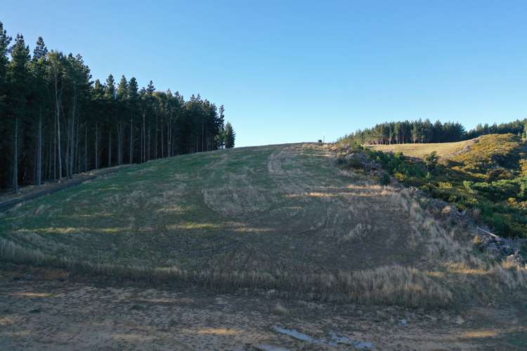 Shag Point Road Palmerston_5