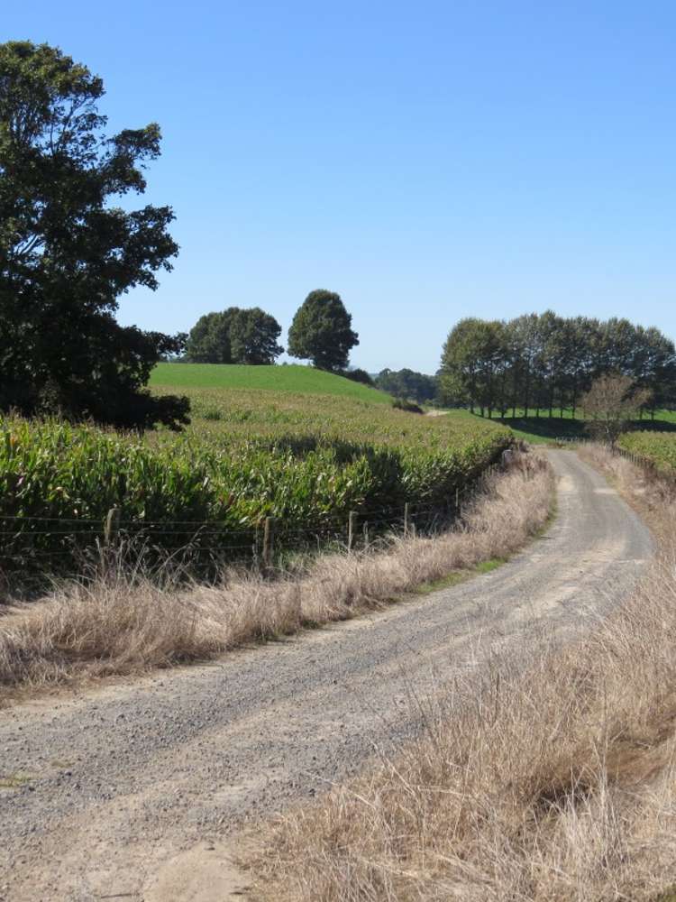 6261 State Highway 1 Kinleith_24