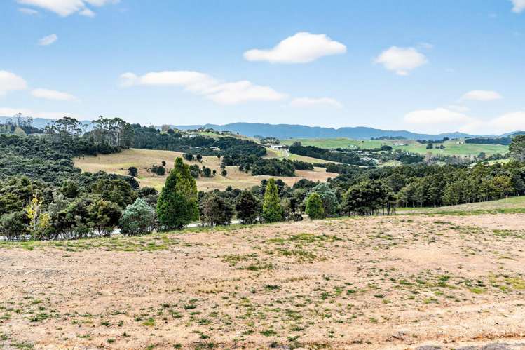 Mangawhai Bush Estate Mangawhai_13