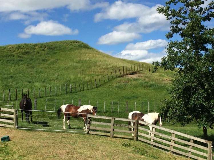 29 Flag Range Road Sherenden_11