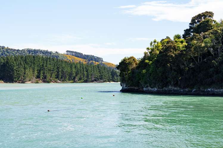 10 Crescent Street Purakaunui Inlet_27