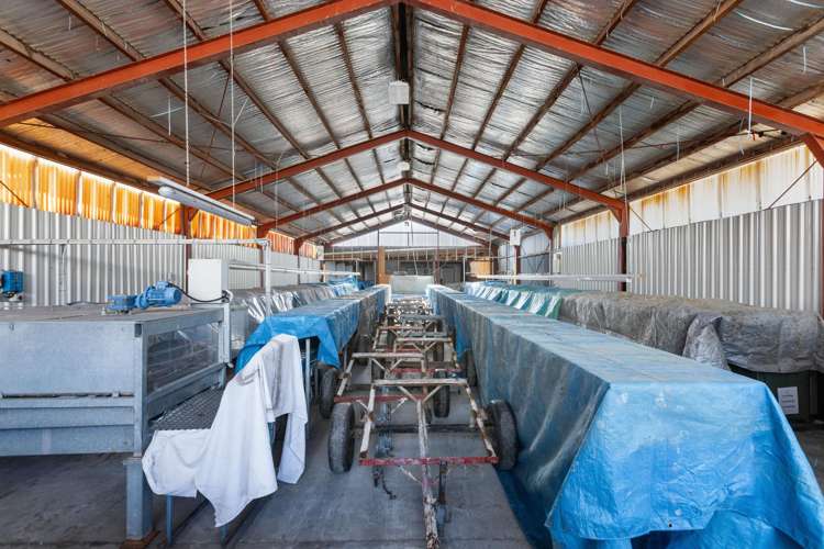 5221 Kurow Duntroon Road Duntroon_12