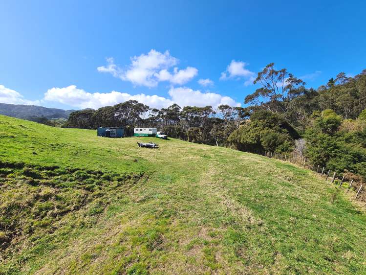 110 Wood Road, Colville Coromandel_17