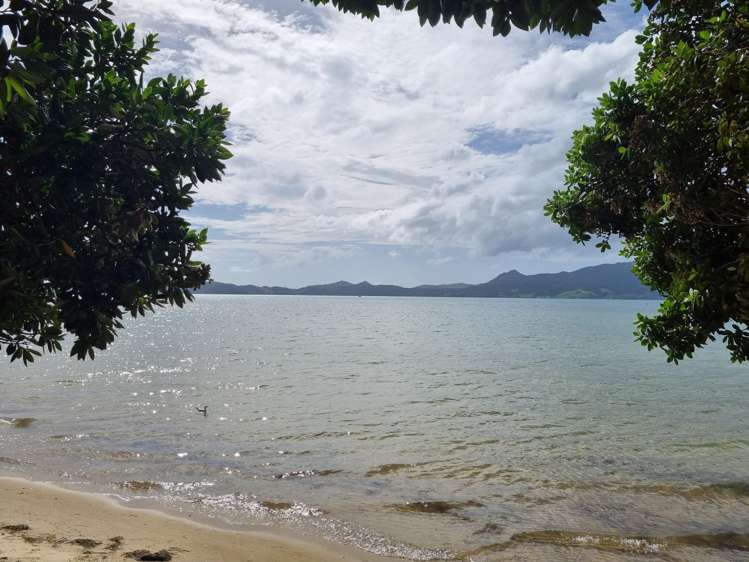 160b One Tree Point Road One Tree Point_21