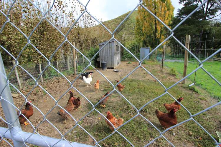 83 Waikakaho Road Tuamarina_20