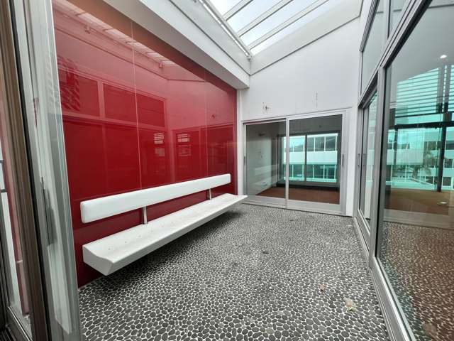 L1/13 Hargreaves Street Freemans Bay_3