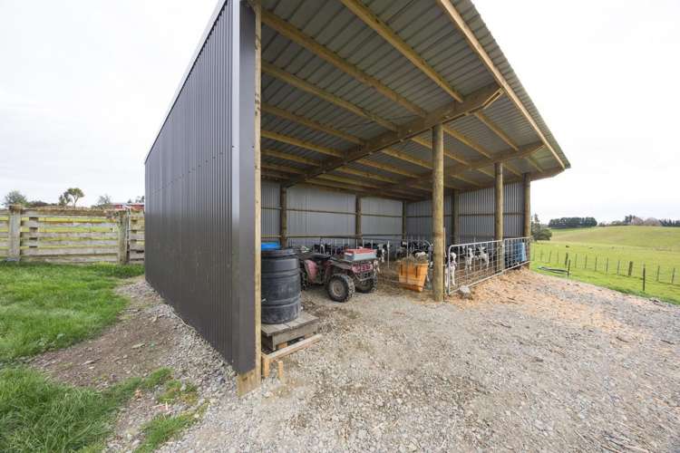 780 Halcombe Road Halcombe_10