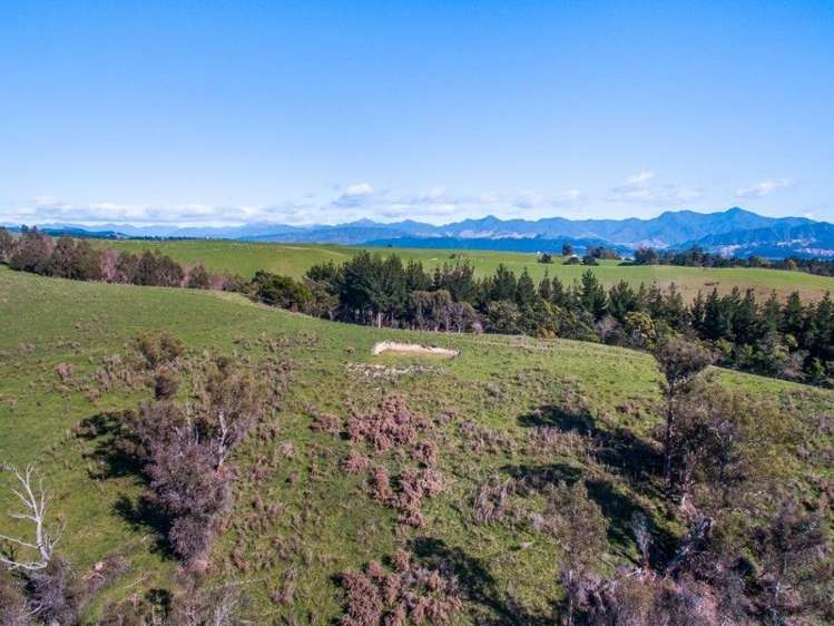 264 Hawkesbury Road Hawkesbury_11