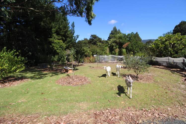 65 Dysart Road Herekino_25