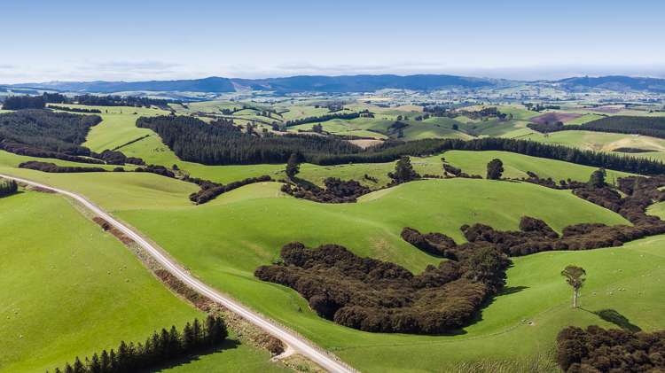 1087 Table Hill Road Milton_12