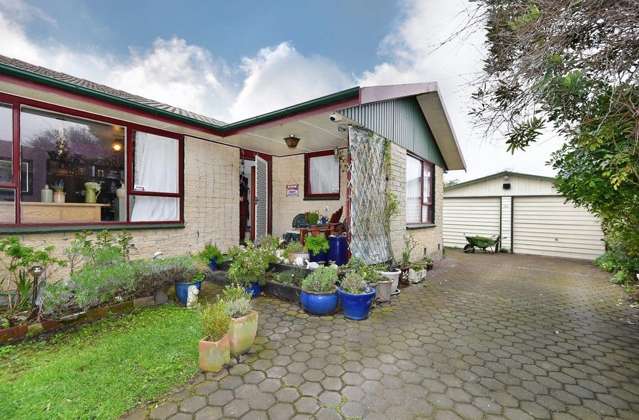 12 Taranui Place Bromley_1