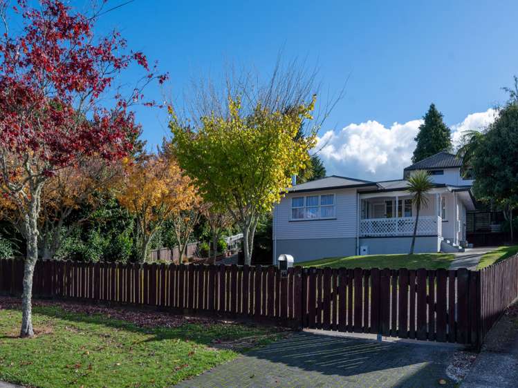 14 Nikau Street Springfield_19