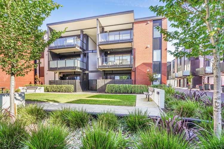 11/182 London Street Hamilton Central_14