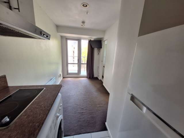 113 Vincent Street 10015_3