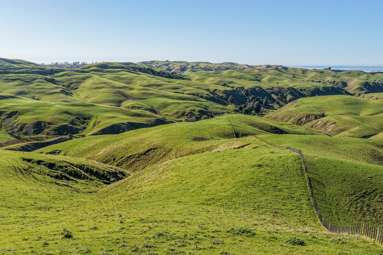717k Puketitiri Road_1