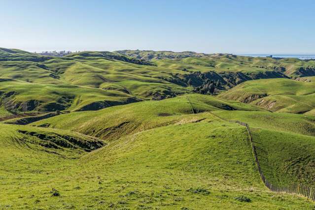 717k Puketitiri Road Puketapu_1
