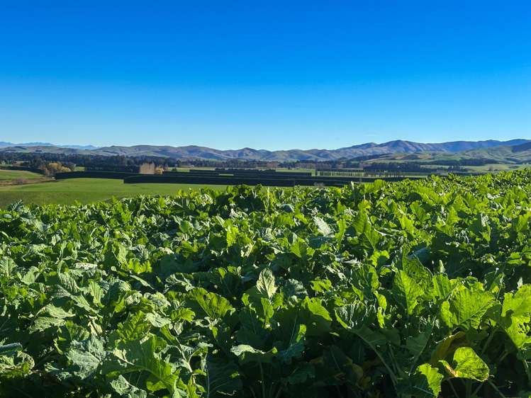 80 McDonald Road Wendonside_14