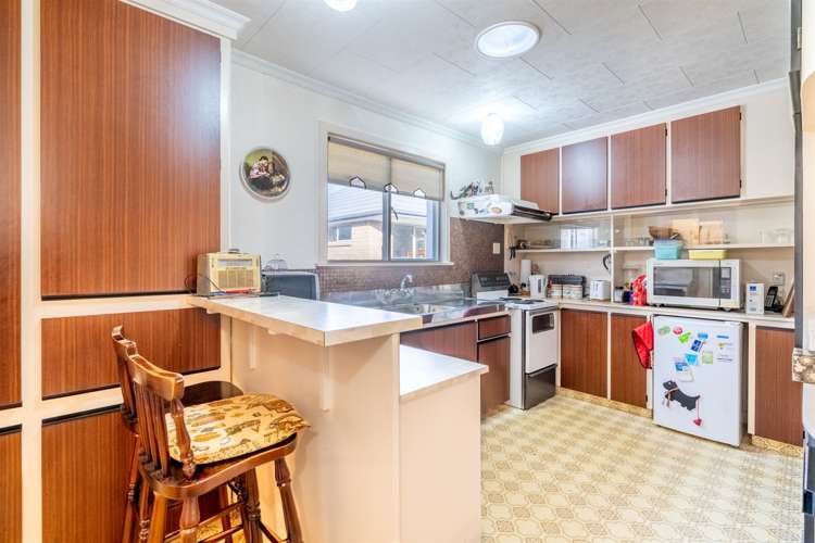 261 Chelmsford Street Waverley_7