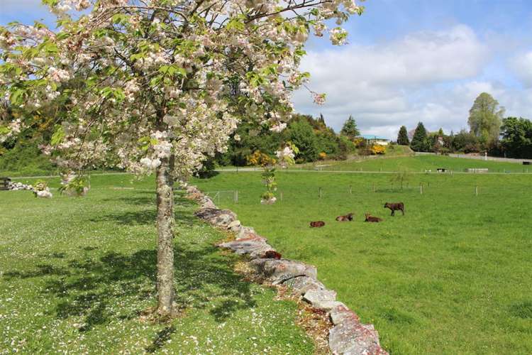 25 Mill Road Ahaura_14