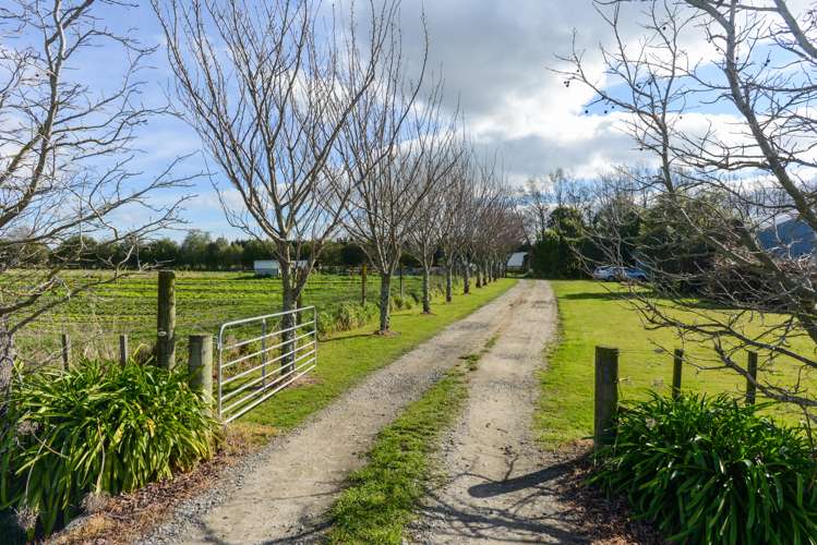 23 Johns Road Jervoistown_16