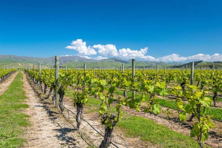 671 New Renwick Road Fairhall_50