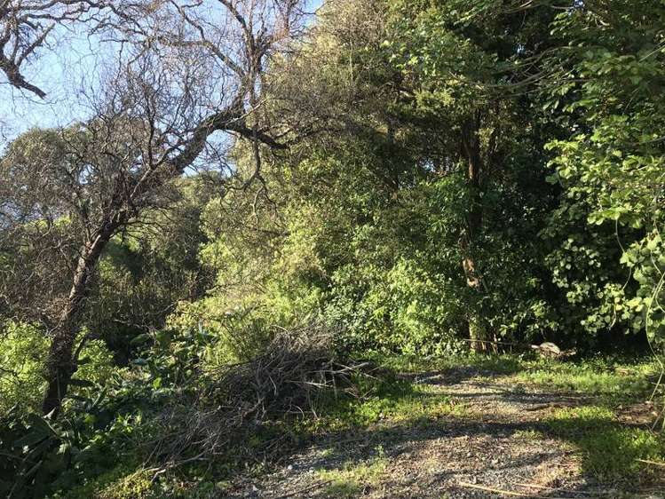 1166 Cove Road Langs Beach_4