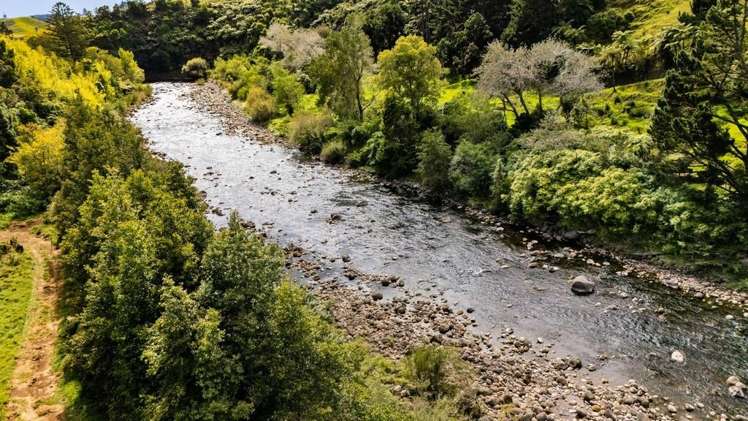 525F Mangorei Rd, Highlands Park New Plymouth_1