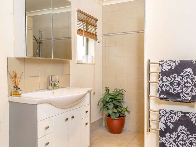 48 Pahiatua Mangahao Road Pahiatua_11