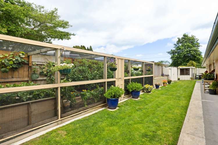 912 Bond Road Te Awamutu_22