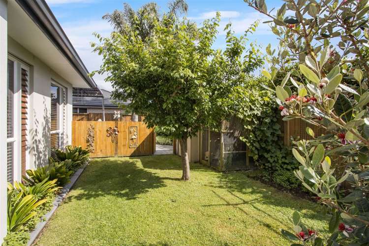 2 Friis Drive Katikati_14