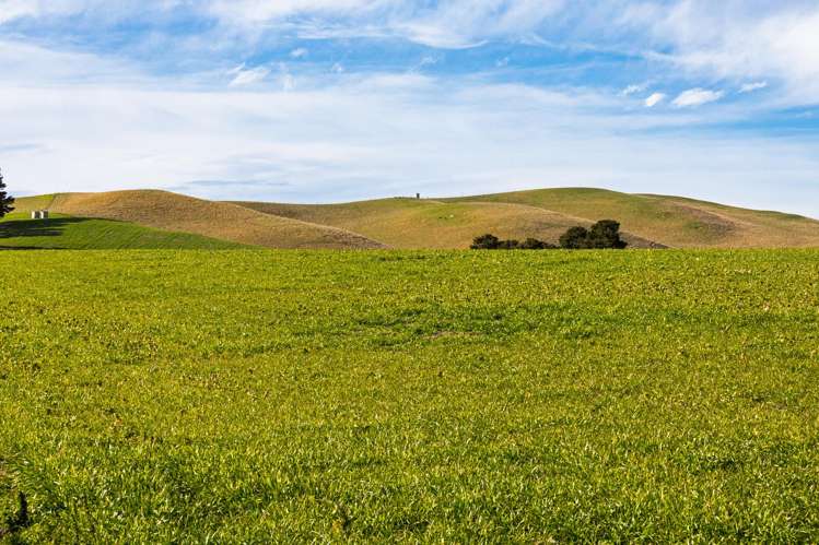 203 Robinson Road Cave_14