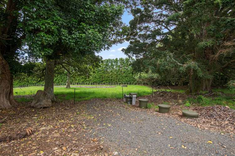 662A Ngunguru Road Glenbervie_10