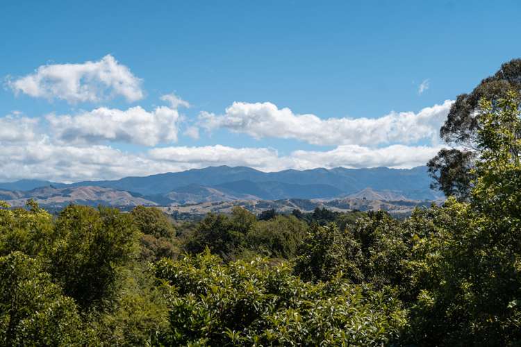 97 Titoki Street Masterton_13