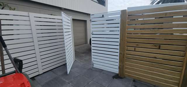 1 Nukumea Common Orewa_2