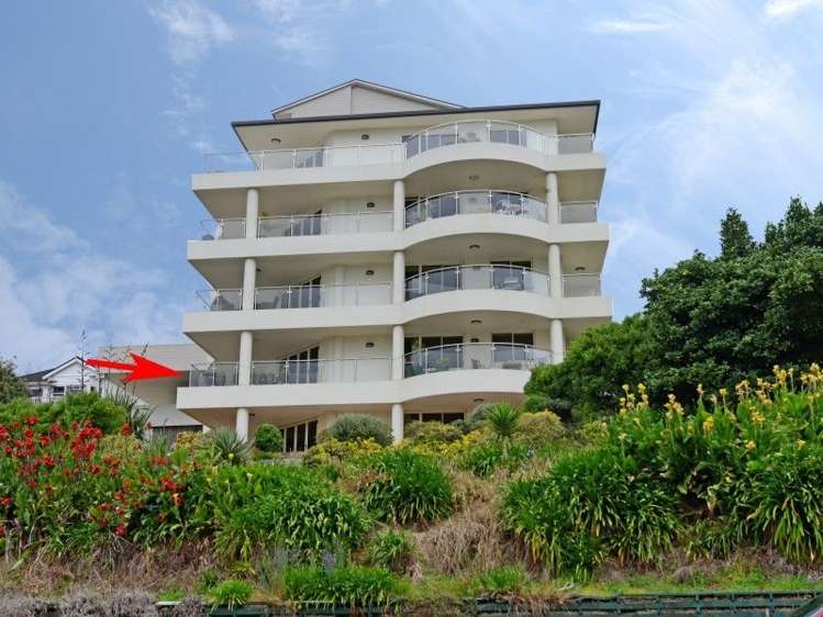 40h Thackeray Street Hamilton Lake_18