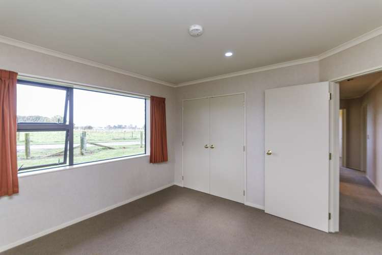 294 Bryce Road Kiwitea_15