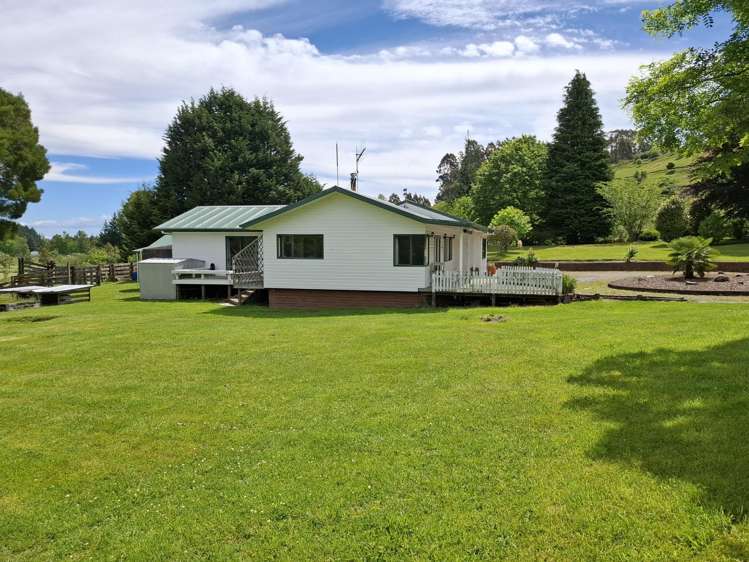 227 Whangamata Road Kinloch_9