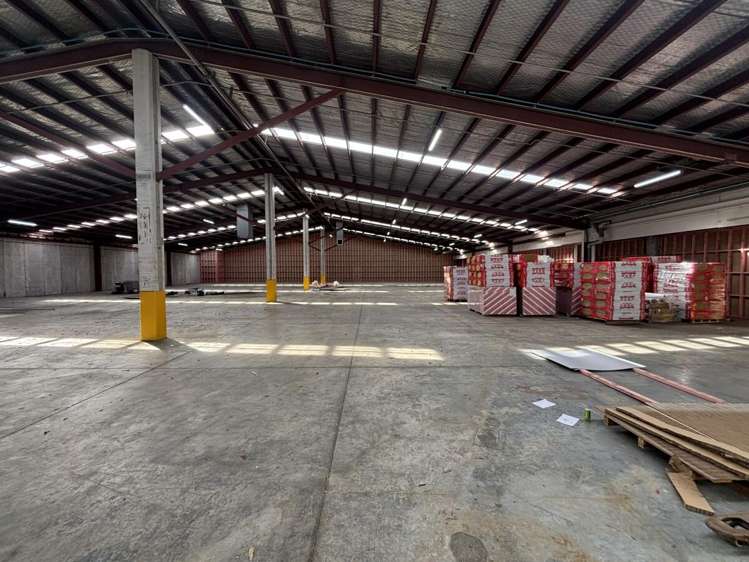 11 McDonald Street Morningside_7