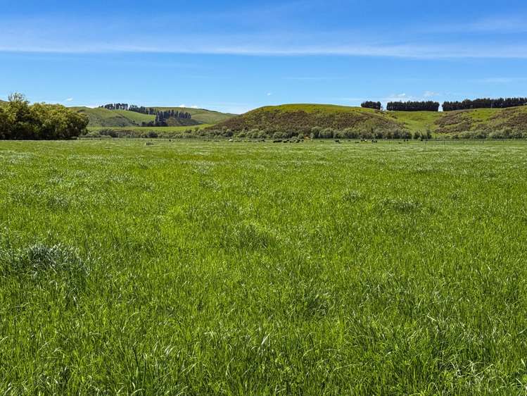 840 Ardlussa Cattleflat Road Cattle Flat_2