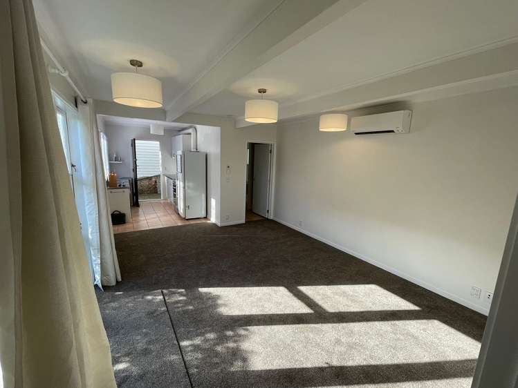 40B Crummer Road Grey Lynn_5