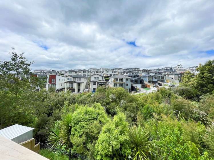 20 Baumea Rise Massey_15