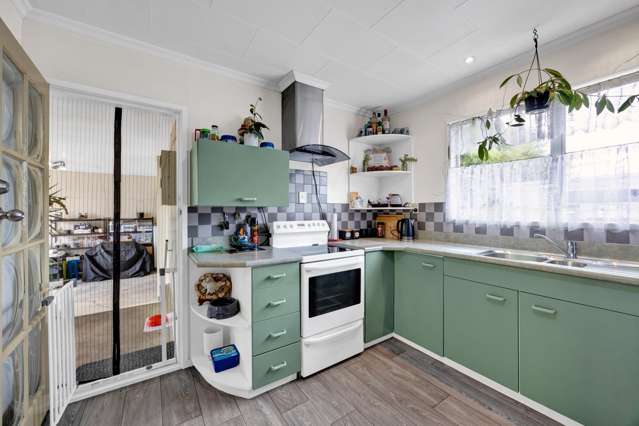 36 Atkinson Street Normanby_3