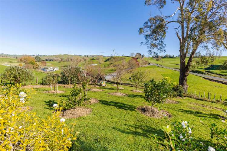 1439 Te Kawa Road Otorohanga_28