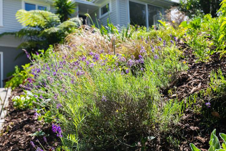 8 Tui Terrace Tawa_21