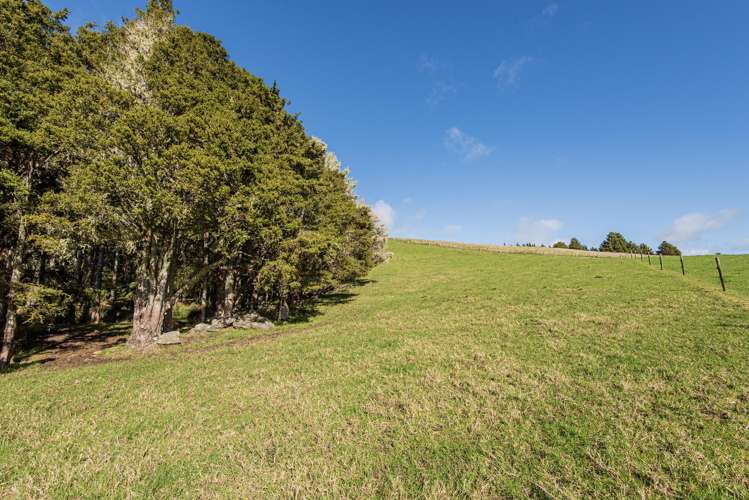 43 Waiariki Road Whakapara_25