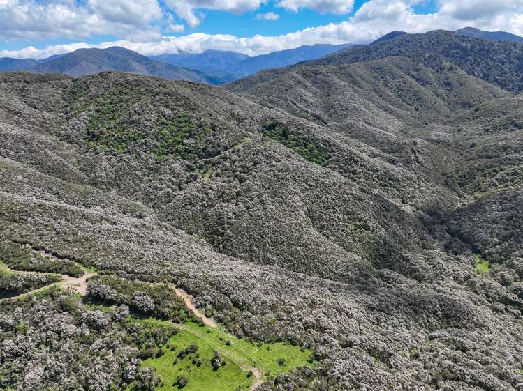 85696 State Highway 2 Mount Bruce_23