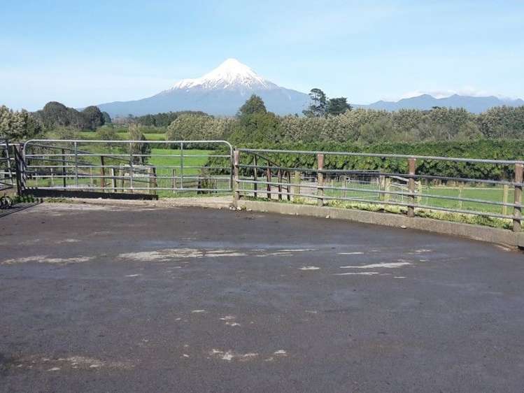 346 Rugby Road Tariki_43